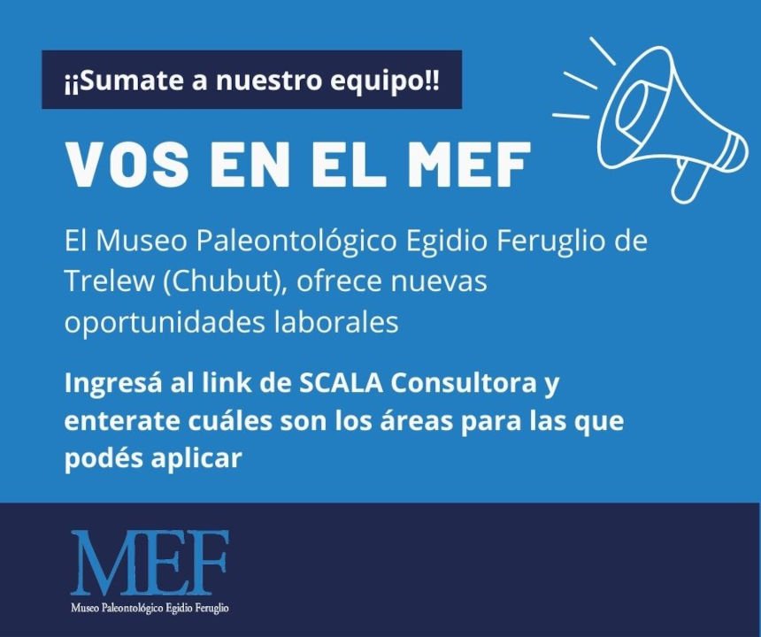 Vos En El Mef Sumate A Nuestro Equipo De Trabajo MEF