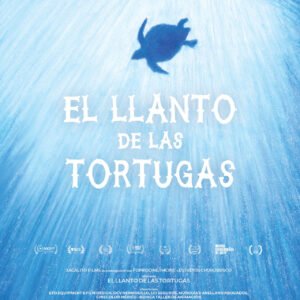 Noche de tortugas en el MEF