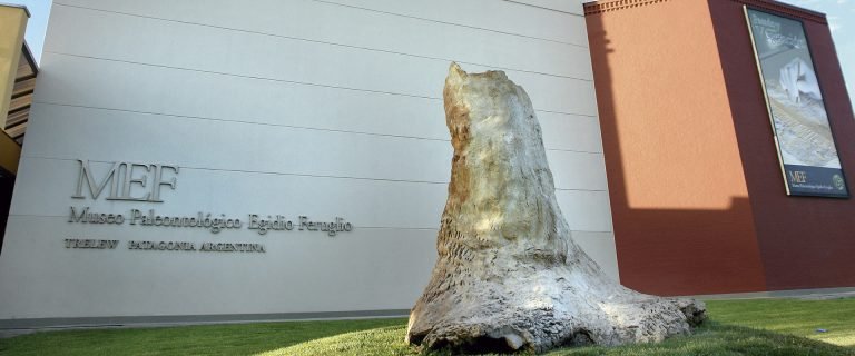 museum of paleontology egidio feruglio