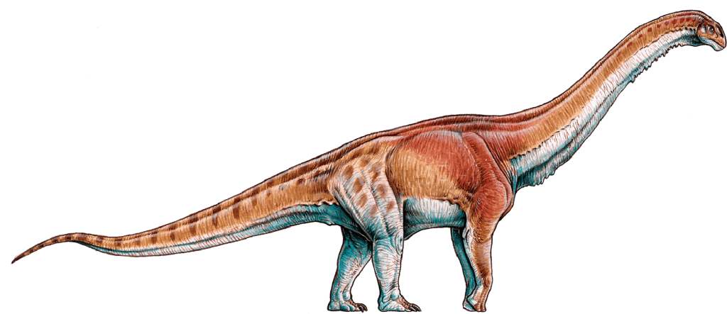 Patagotitan динозавр. Patagotitan. Patagotitan mayorum фото.