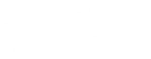 Dinosaurios del fin del mundo. Cronicas de la patagonia