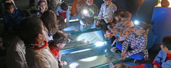 ¡Vuelve Exploradores en Pijama al MEF! Una noche inolvidable entre dinosaurios