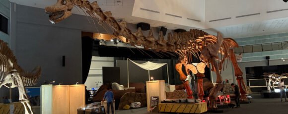 El Mef lleva los dinosaurios de la Patagonia a Asia