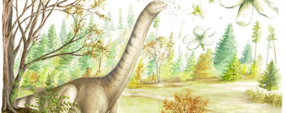 Descubren en Patagonia las flores fósiles más antiguas de la región asociadas al dinosaurio más grande del mundo